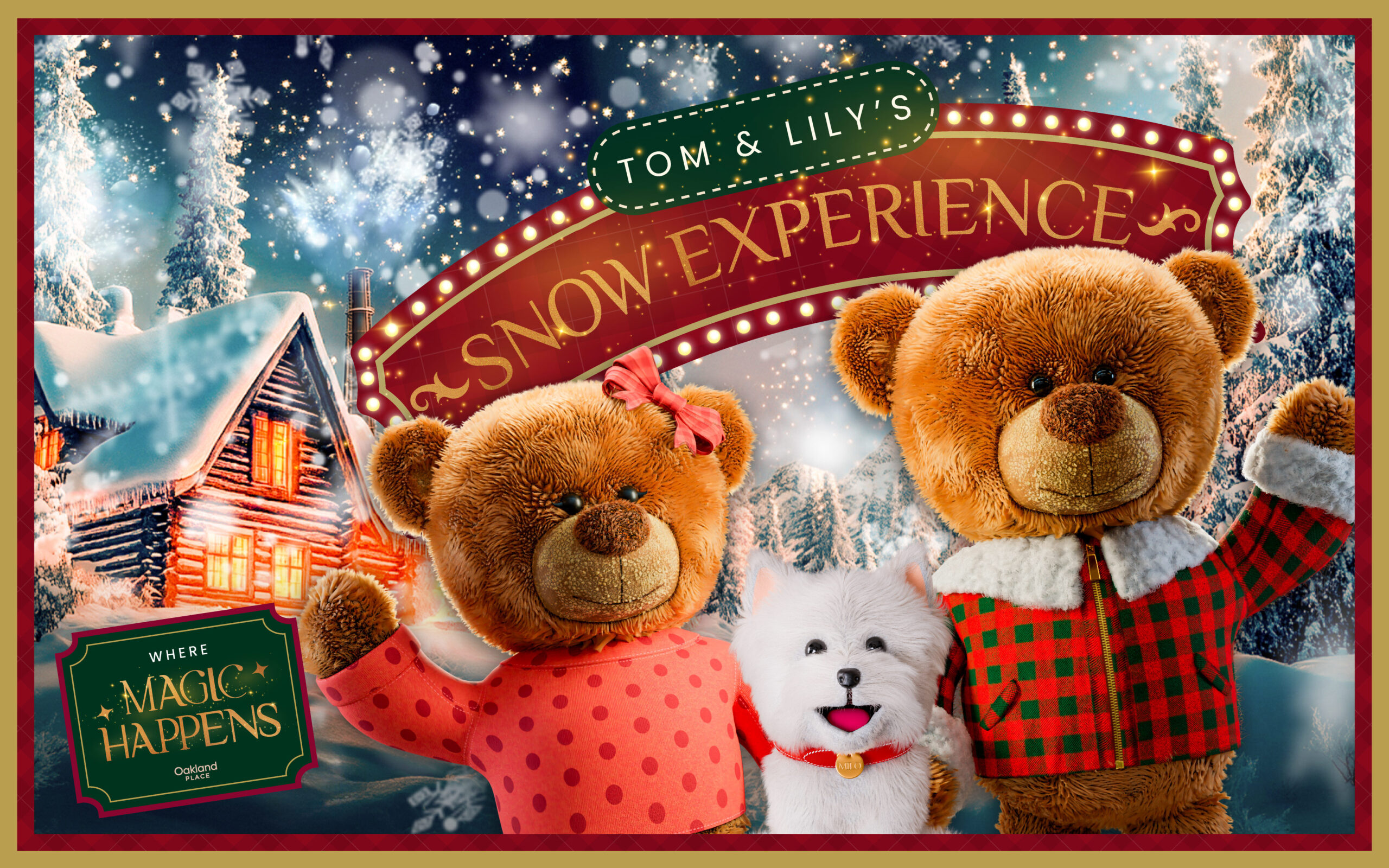 Tom & Lily´s Snow Adventures image